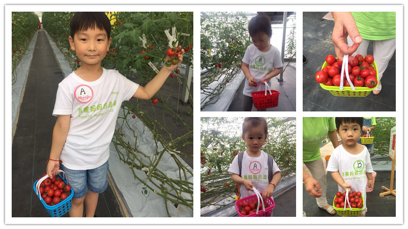 BBunion国际早教7月上旬活动回顾