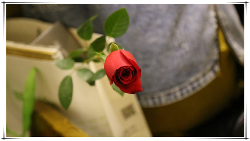 BBunion国际早教厦门世贸中心：女神驾到