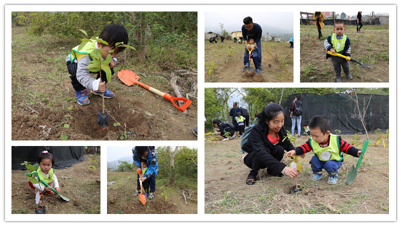 BBunion国际早教厦门世贸中心:植树节户外体验 BBunion国际早教厦门世贸中心:植树节户外体验