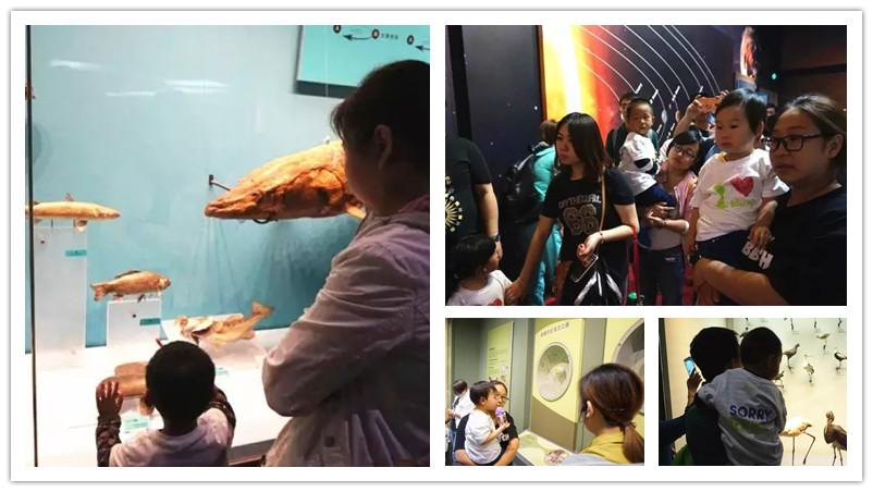 BBunion国际早教天津中心活动花絮：自然博物馆之旅
